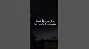 #اكتب_شي_تؤجر_عليه #القرآن_الكريم #تلاوة_خاشعة #القارئ_اسلام_صبحي #القران #راحة_نفسية