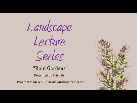 Vídeo: Hillside Rain Gardens – Você pode criar um jardim de chuva em uma encosta