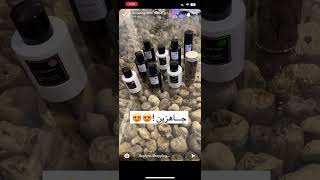 اراء العملاء في عطور برفيوم بالاس