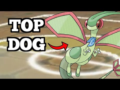 You NEED To Use Flygon. Here's Why