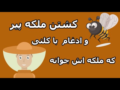 تصویری: نحوه ایجاد و نگهداری کلنی قوی زنبورعسل