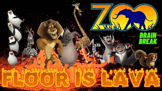 ZOO ANIMALS: FLOOR IS LAVA GAME. EXERCISE BRAIN BREAK FOR KIDS ACTIVITY FUN LIKE FREEZE DANCE.