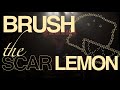 [가사해석] GRANRODEO - BRUSH the SCAR LEMON