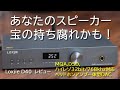 【ヘッドホンアンプ一体型中華DAC】Loxjie D40 レビュー【空気録音あり】