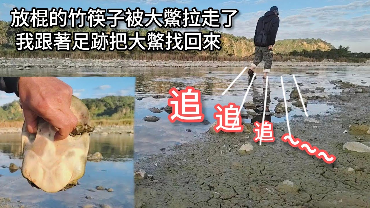 我放棍捕鱉的竹筷子被大鱉拖走 我跟著足跡把這大鱉逮回來（393集）@Pin338548 阿平趴趴走