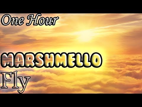 Marshmello - Fly