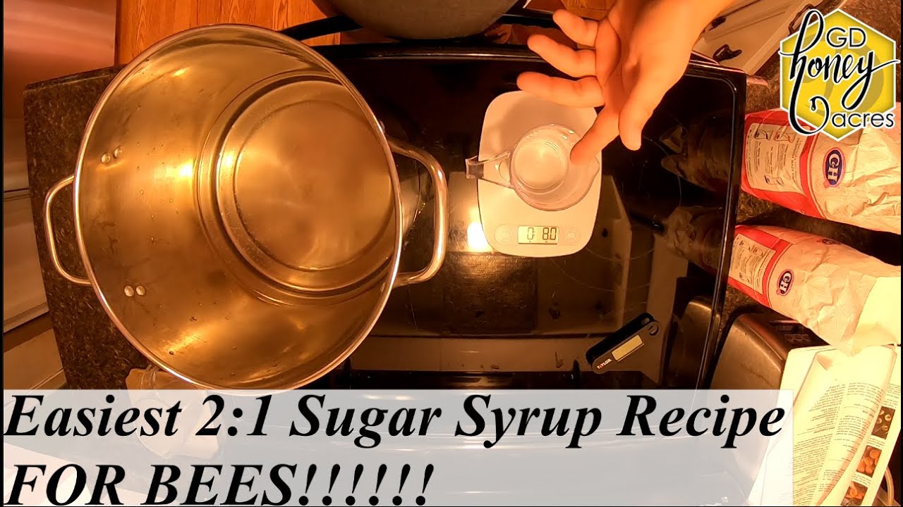 The Easiest 21 Sugar Syrup Recipe for BEES!!!! YouTube