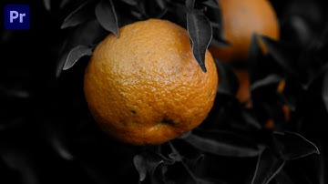 Leave Color in Adobe Premiere Pro 2023 Tutorial