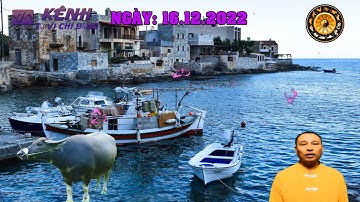 TỬ VI HÀNG NGÀY 16/12/2022 CỦA 12 CON GIÁP CHUẨN NHẤT