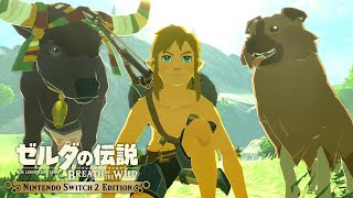 ハイラルの動物、かわいいぜ…｜【Switch2】ゼルダの伝説 ブレスオブザワイルド #6