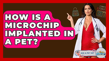 How Is A Microchip Implanted In A Pet? - Ask A Pet Vet