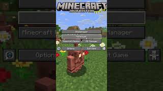 How to Play Earth SMP Minecraft Server CRACKED!