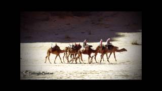 Video thumbnail of "Karunesh-Caravanserai"