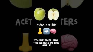 What the hell is an Ester? - Whisky Bytes