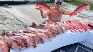We FOUND a School of GIANT Vermilion and Mangrove Snappers (Catch Clean & Cook)