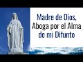 Oración a María para Pedir por el Descanso de los Difuntos