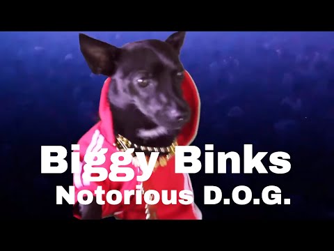 Dog Music Video Preview | Biggy Binks | Biggy Binks the Notorious D.O.G.