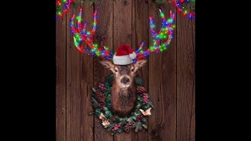 Thumbnail of Deck the Halls (io Saturnalia!)