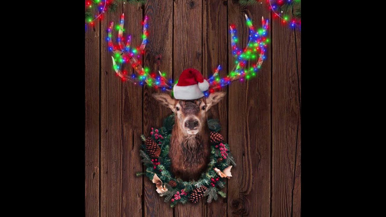 Deck the Halls (io Saturnalia!)