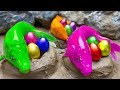 Menemukan ikan hias warnawarni ikan lele pelangi ikan cupang  stop motion ideas funny asmr