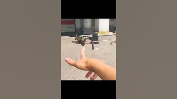 New Caldera MP40, Class at the end #shorts #warzone #warzoneclips #callofduty #caldera