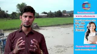 Agriculture in India || 9th Class Social Studies