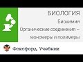 Биология. Биохимия. Органические соединения – мономеры и полимеры. Центр онлайн-обучения «Фоксфорд»