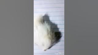 tumia ngekewa kuvuta mafanikio  255786317169/ 255620538801