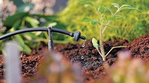 Hướng dẩn lắp đặt hệ thống tưới nhỏ giọt tự động thông minh