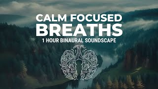 Calming Breaths - Guided Drone and Binaural Beats 8hz | 1 Hour soundscape in C# at 75 bpm screenshot 5