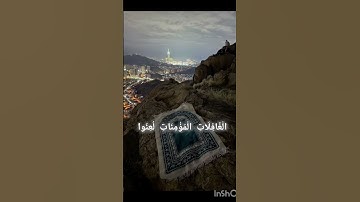 القارئ سلمان العتيبي/ سورة النور