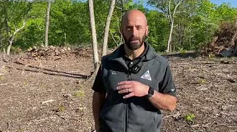 Habitat Hints: Removing Cedars
