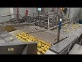 Картофельные полуфабрикаты из Упорово завоевывают продовольственный рынок России