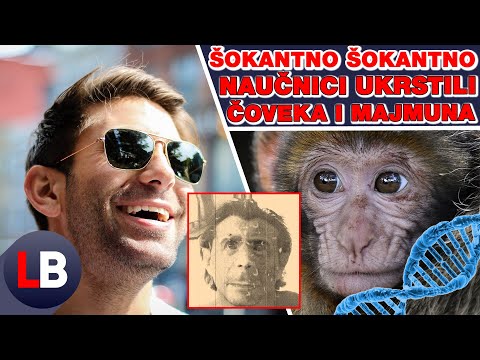 Video: Australopithecus - Veza Između Majmuna I čovjeka - Alternativni Prikaz