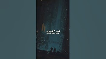سورة مريم الايه 38 - القارئ عبدالرحمن مسعد