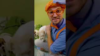 Blippi holding a puppy #blippi