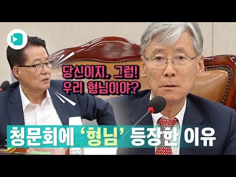 박지원-여상규 청문회장 설전...&quot;당신이 판사야&quot; vs &quot;어디서 큰소리야&quot; / 비디오머그