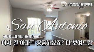 2차 이사 여행 Oklahoma to San Antonio | 댈러스 시온마켓 간단 장보기 | ‍ 정신없이 외식하는 기간 | 2인 1견 미국살이 우당탕탕 설탕이네