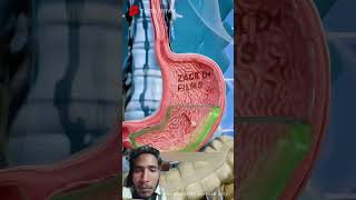 #facts #science #doctor #information #3danimation #digestivesystem #educationshorts