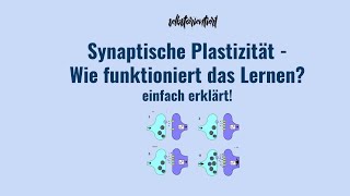 Synaptische Plastizität einfach erklärt - Definition | Kurzzeit- \& Langzeitlernen | LTP Amboss