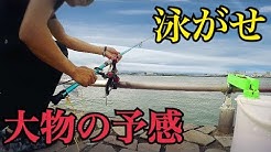 井嶋あきら Youtube