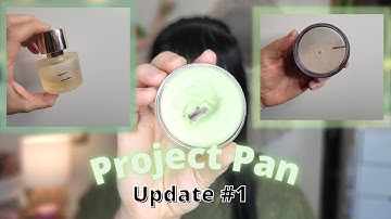 PROJECT PAN UPDATE!!! First Check In!