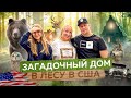 Арендовали дом в лесу в США, рум тур дома в горах // Жизнь в США #86