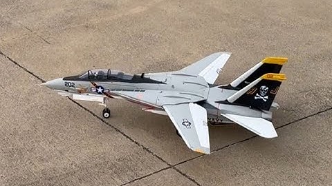 Freewing F14 64 mm rebuild + tips