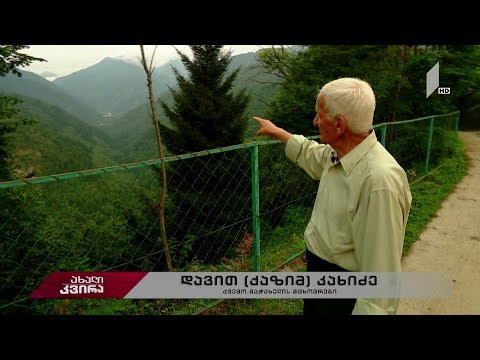 #ახალიკვირა  ორად გაყოფილი ხეობა