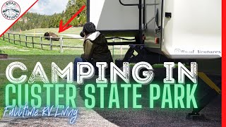 We camped in Custer State Park and it did NOT disappoint! | RV Living