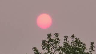 Canadian Wildfire Smoke - 7pm, June 6, 2023, Olyphant, PA