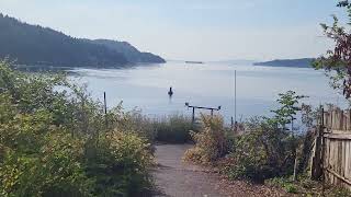 Genoa Bay