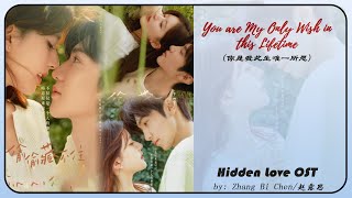 You are My Only Wish in this Lifetime (你是我此生唯一所愿) by: Zhang Bi Chen - Hidden Love OST