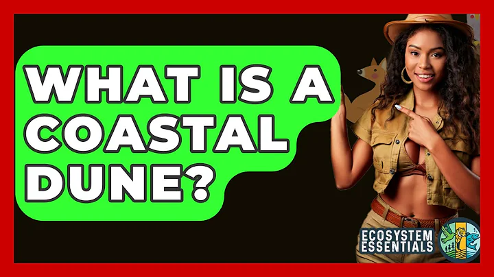 What Is A Coastal Dune? - Ecosystem Essentials
